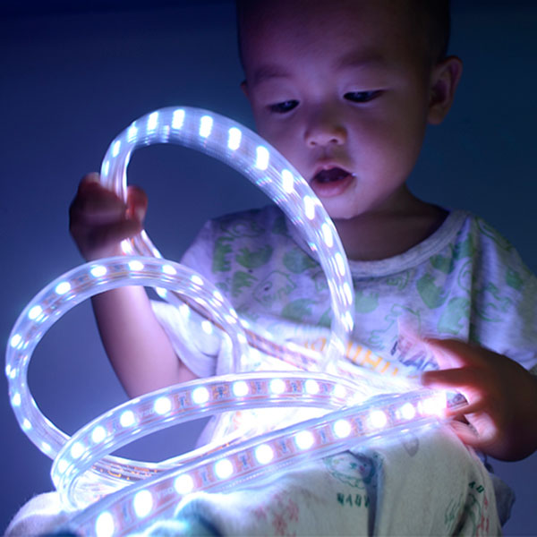 SMD5050 High Voltage AC110&220V Color Change RGB High Bright LED Strips, Waterproof IP67, 60LEDs Per Meter, 10~100 Meter (32.8~328ft) Per Reel By Sale